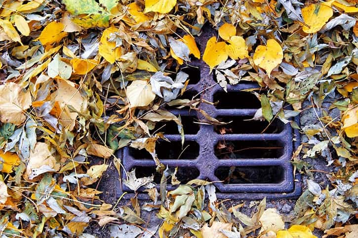 leaves-drain